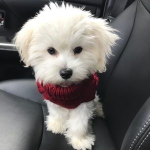 Meet your Posher, Jill